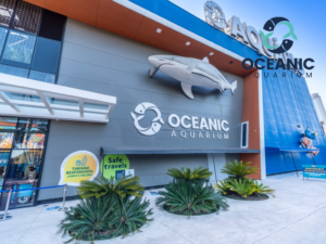 Oceanic Aquarium - Ingresso