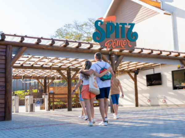 spitz pomer Spitz Pomer