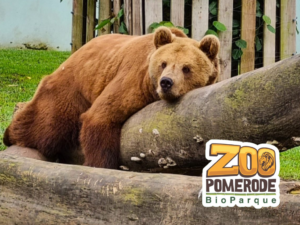zoo pomerode Zoo Pomerode